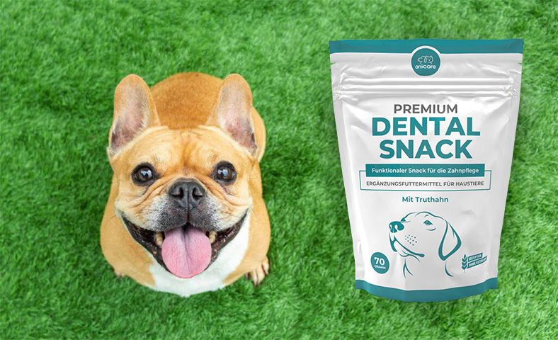 Premium Dental Snack met een springende hond in het gras