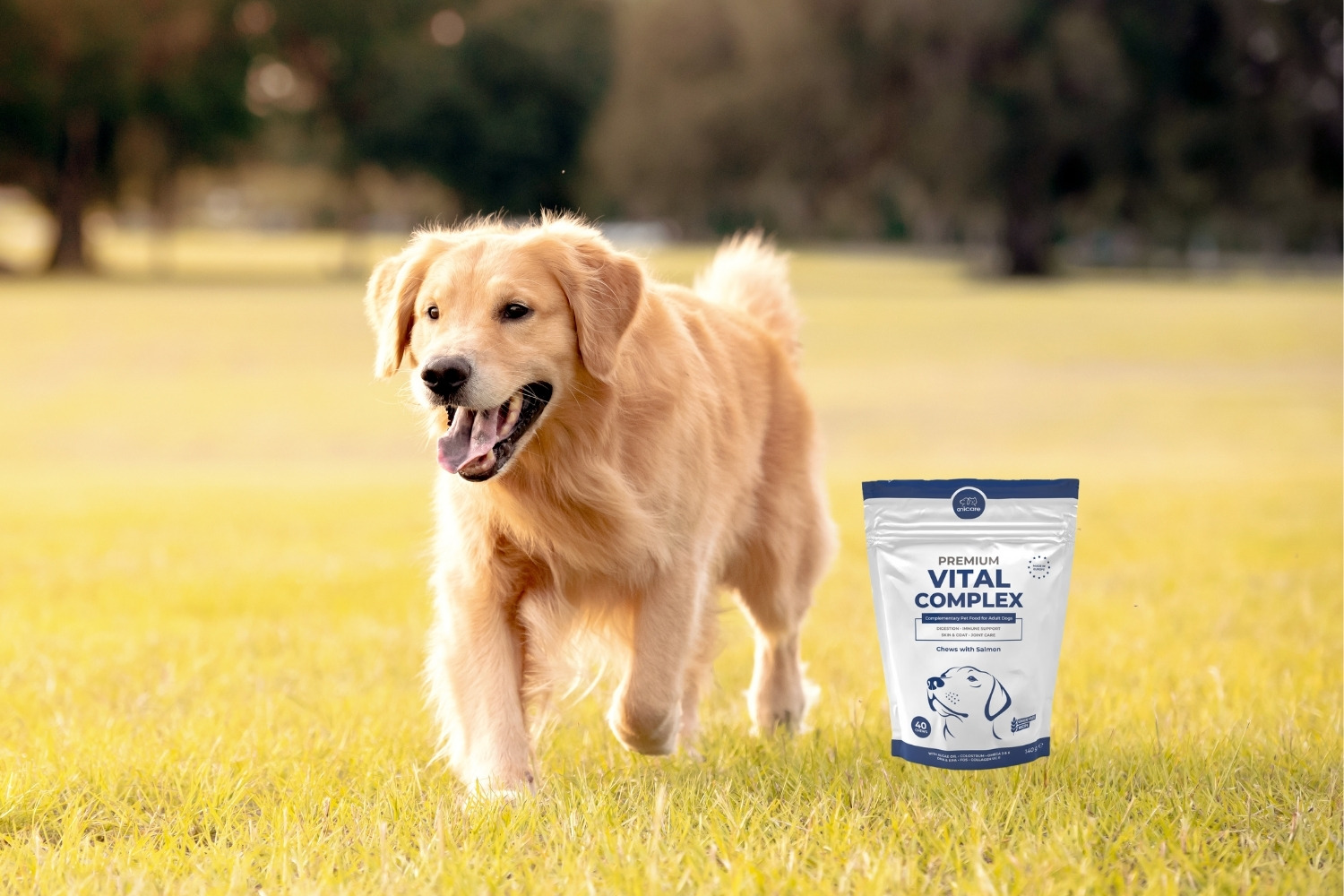 Anicare's Premium Vital Complex verpakking naast een lopende hond