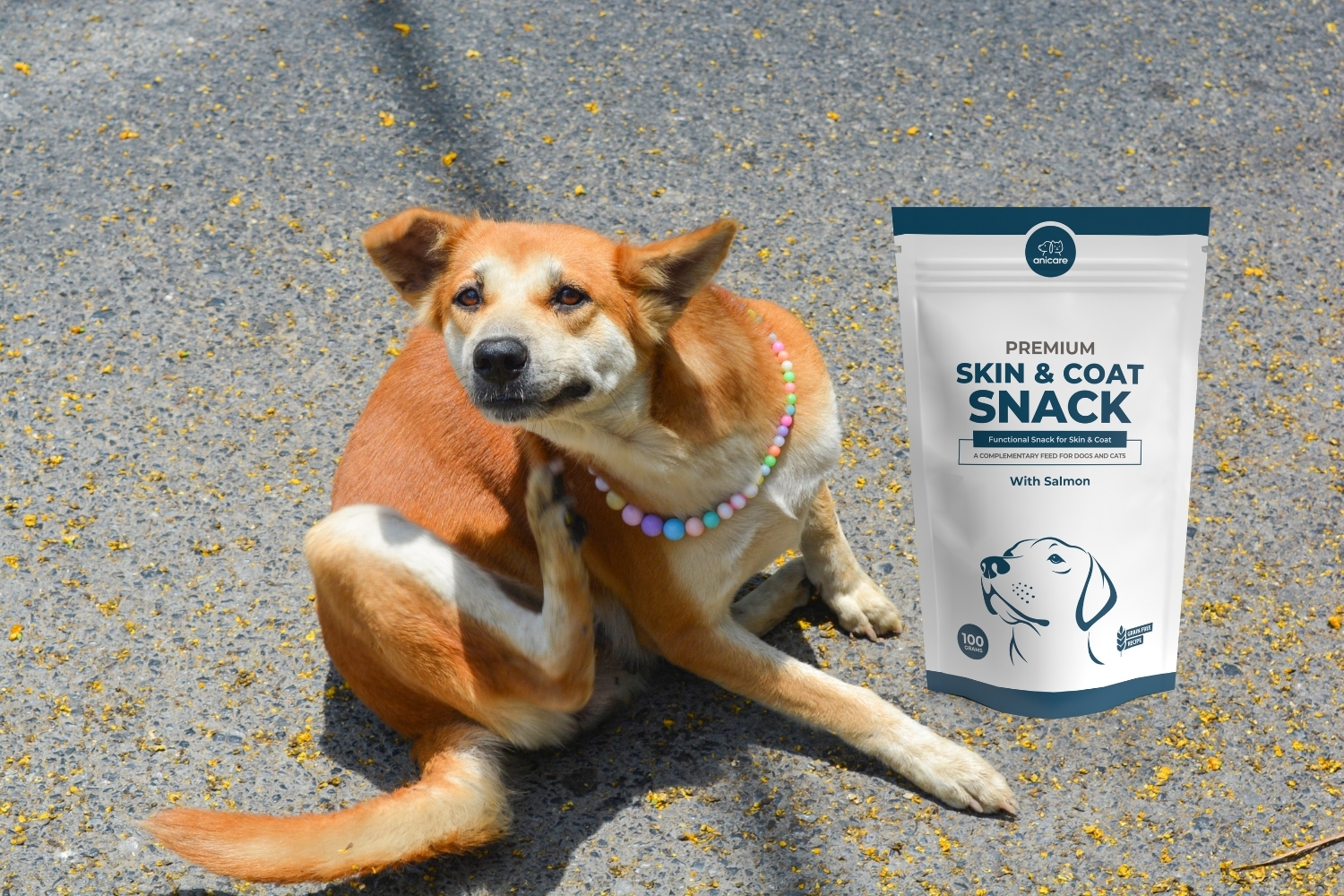 Skin & Coat Snack von Anicare