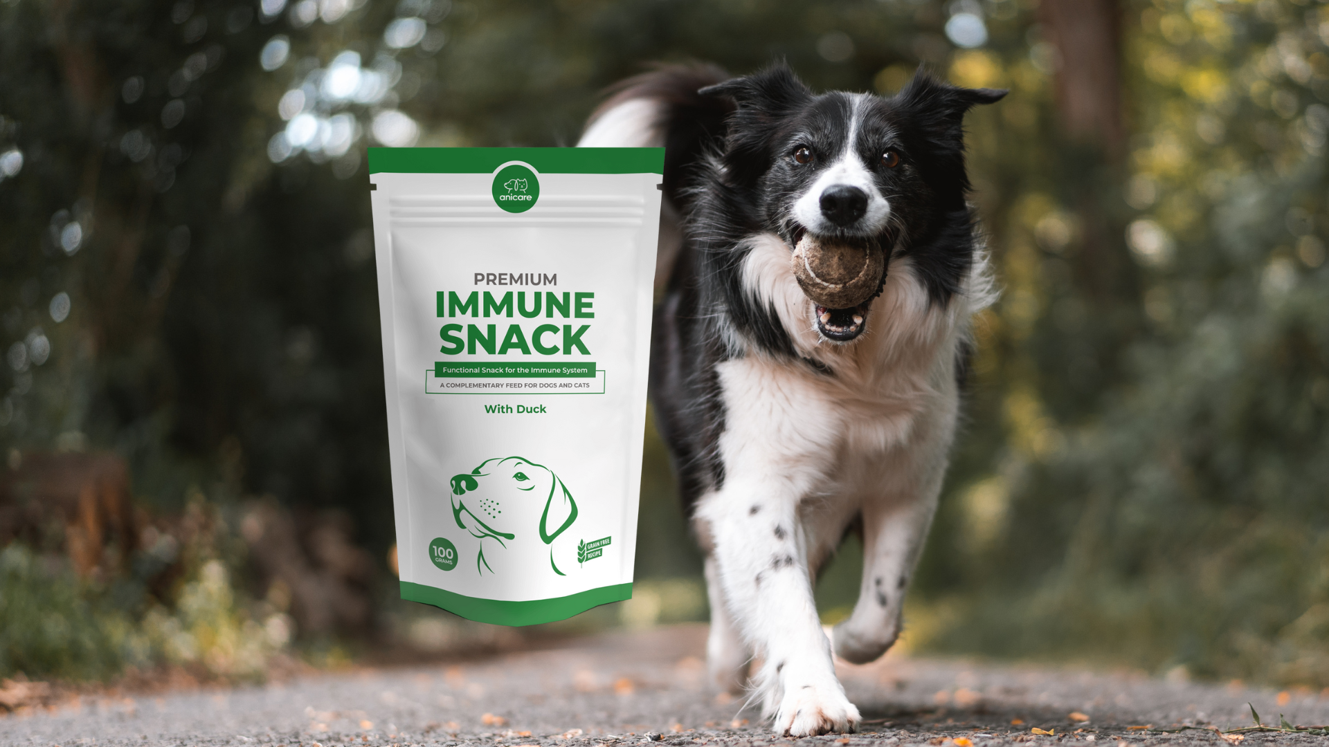 Premium immune snack